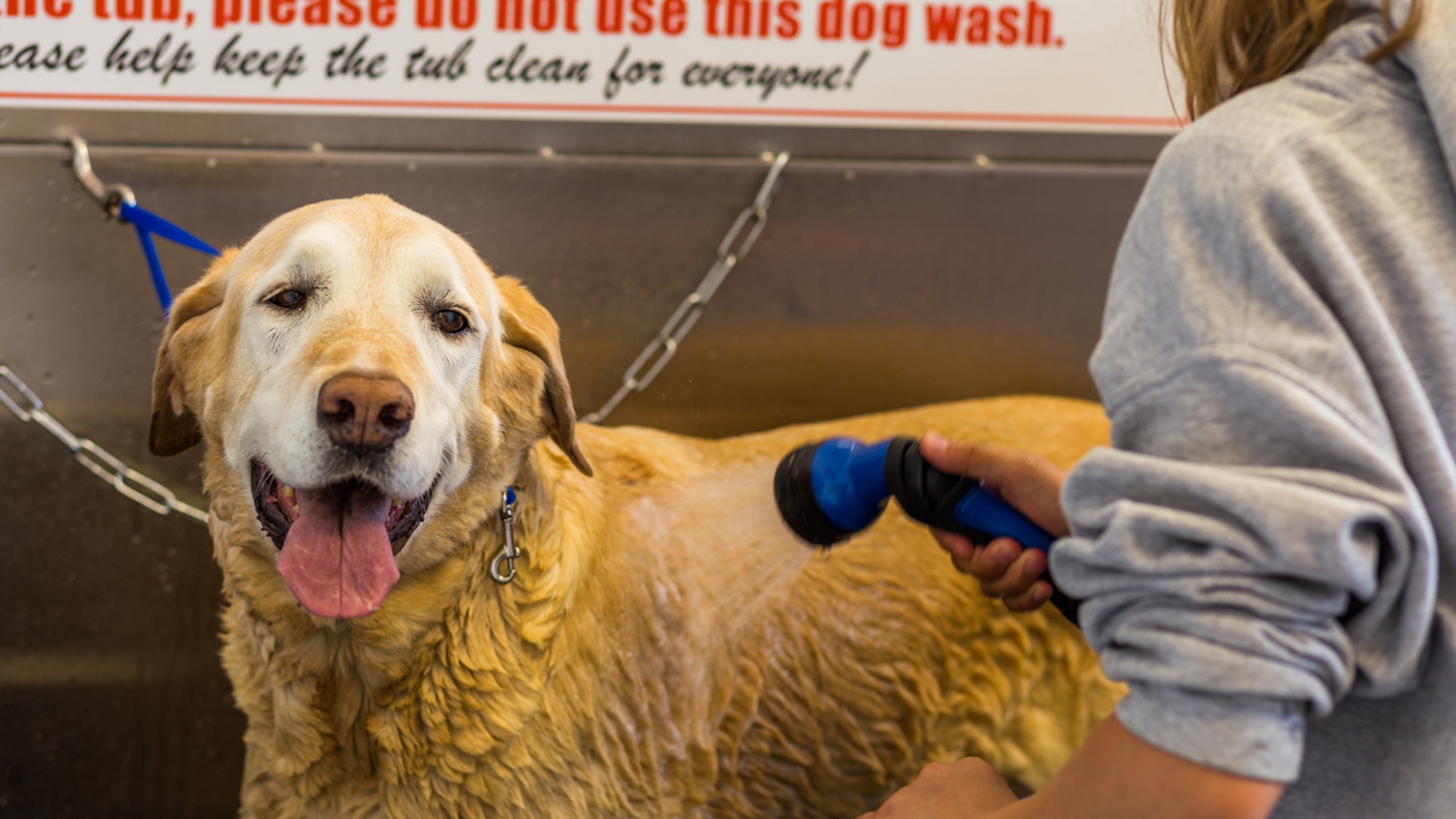 Lucky Dog Car & Pet Wash