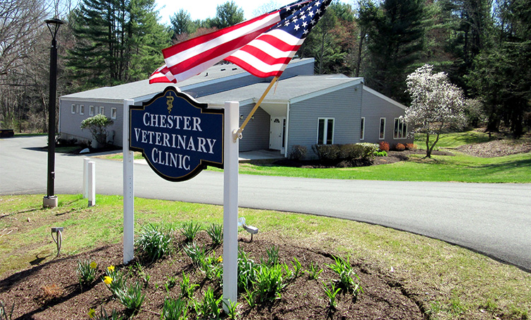 Chester Veterinary Clinic