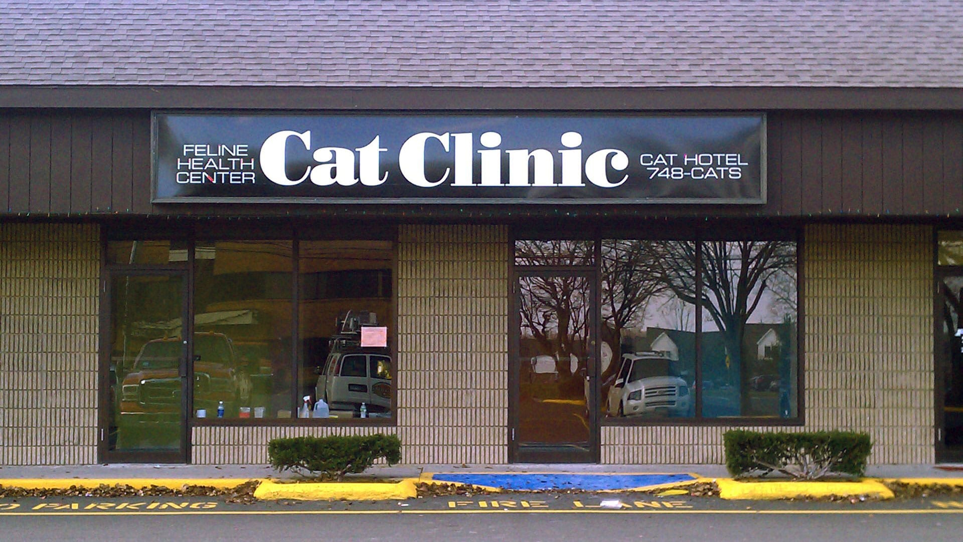 Cat Clinic