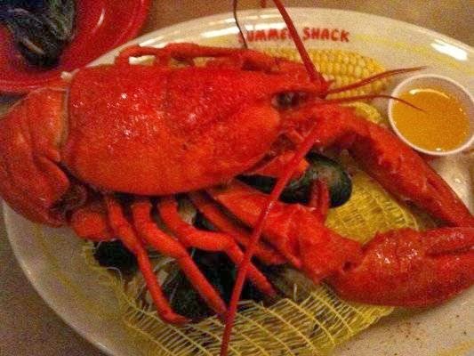 Photo credit: yellowpages