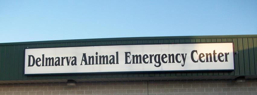 Delmarva Animal Emergency Center