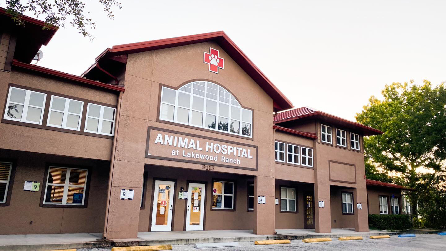 Animal Hospital of Lakewood Ranch