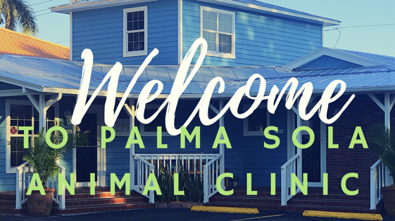 Palma Sola Animal Clinic