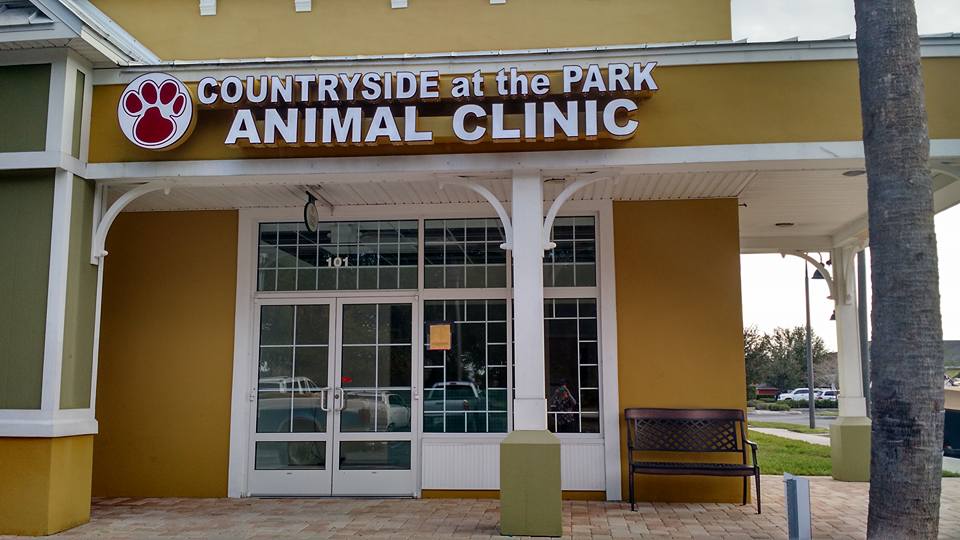 Countryside at the Park Animal Clinic