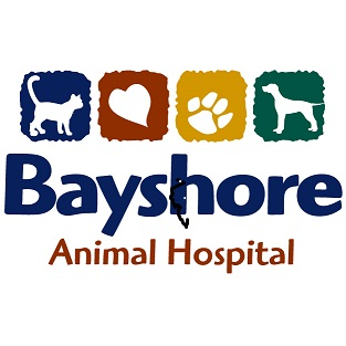 Bayshore Animal Hospital: Lisa Neuman, D.V.M. and Vanessa Richards, D.V.M.