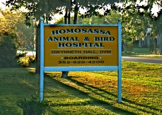 Homosassa Animal & Bird Hospital