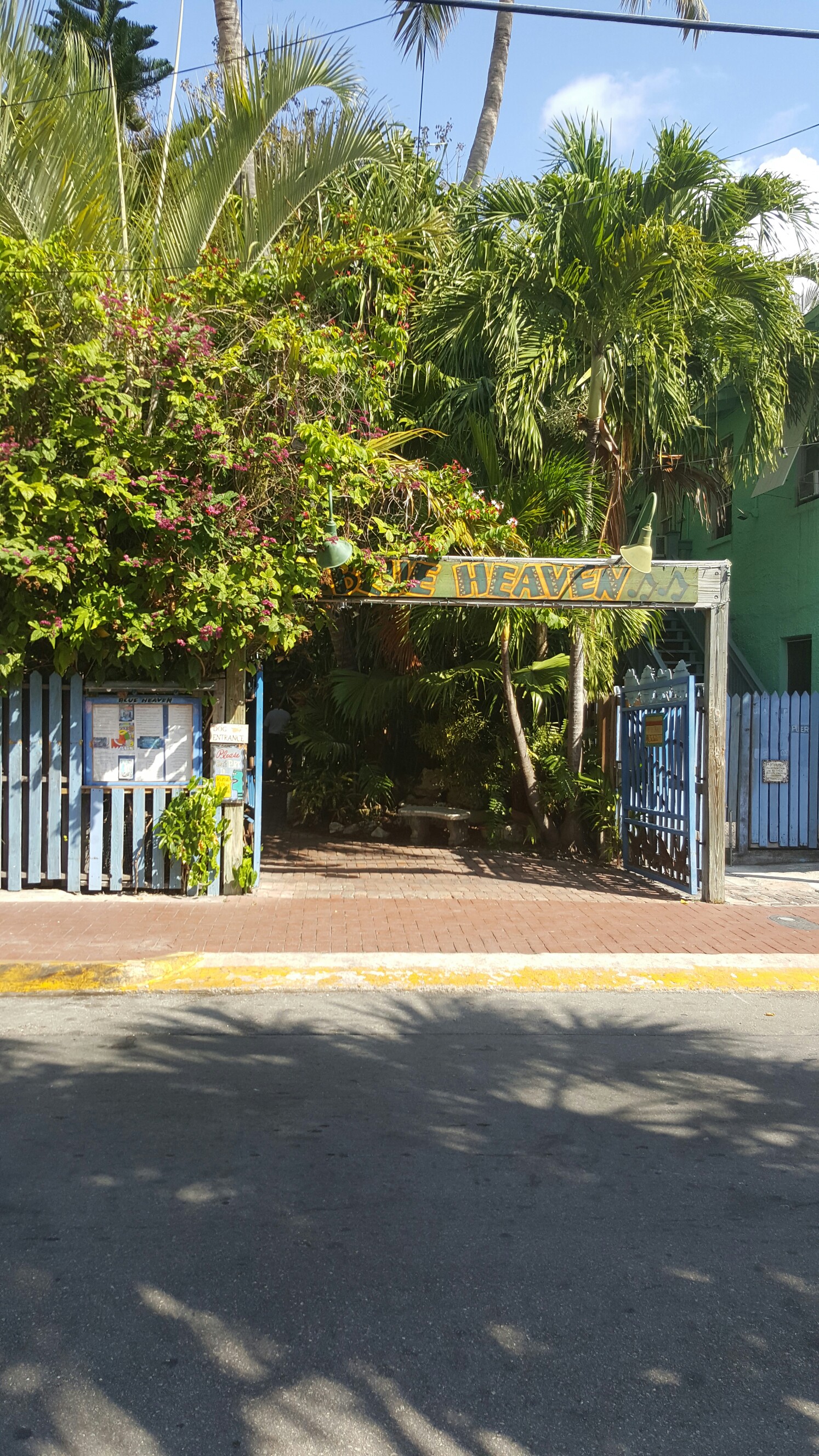 Photo credit: yellowpages