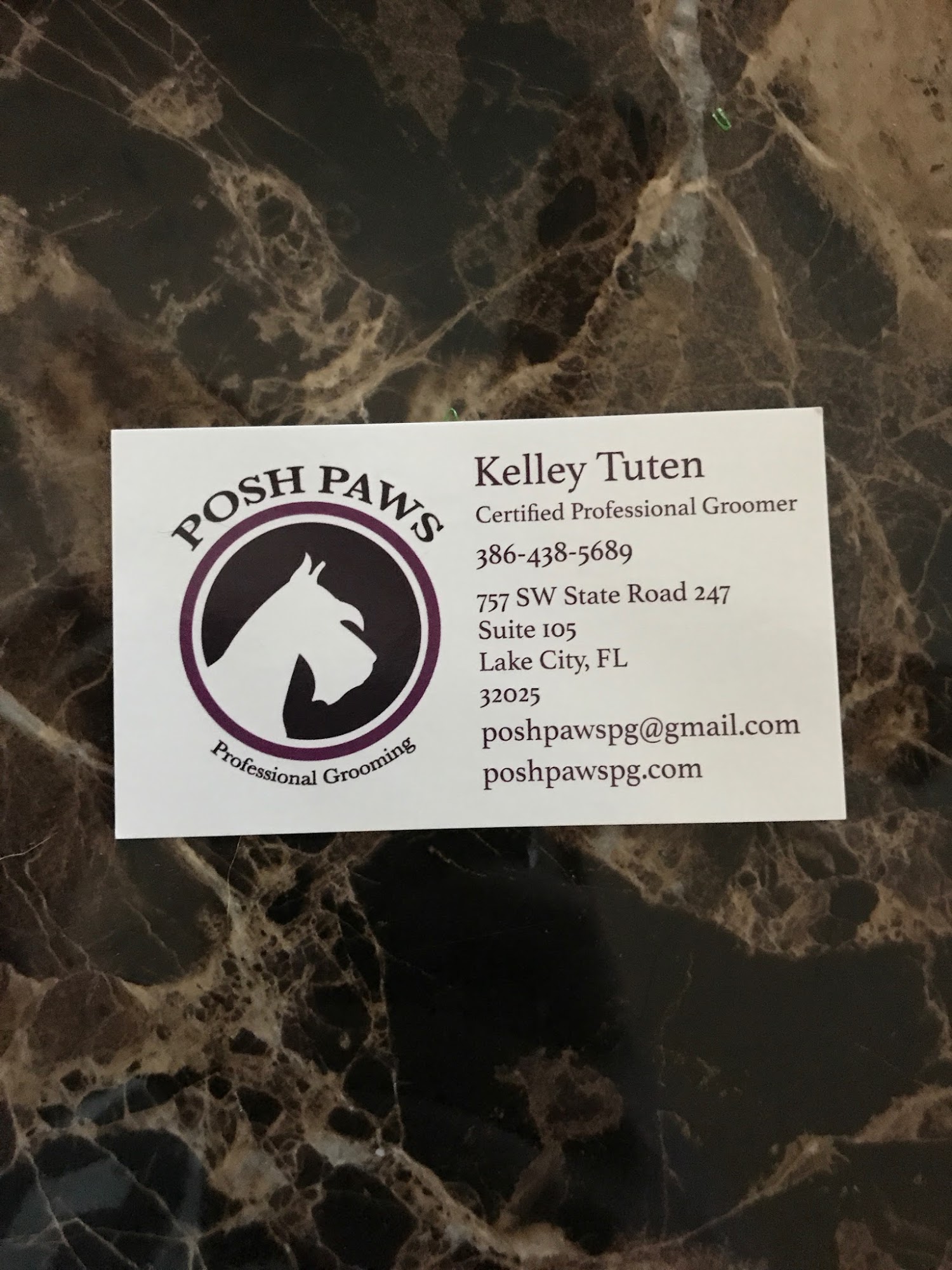 Posh Paws Professional Grooming