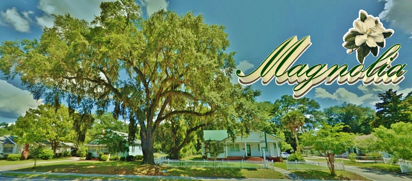 Magnolia Real Estate Group of North Florida
