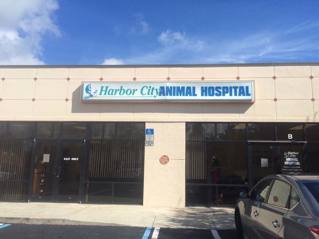 Harbor City Animal Hospital