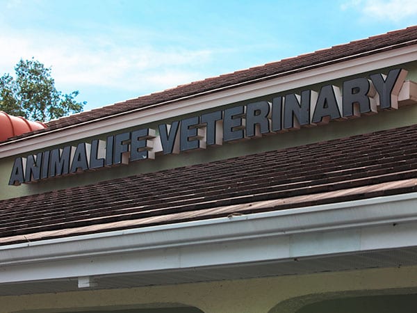 The Animalife Veterinary Center