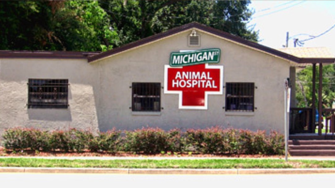 Michigan Street Animal Hospital