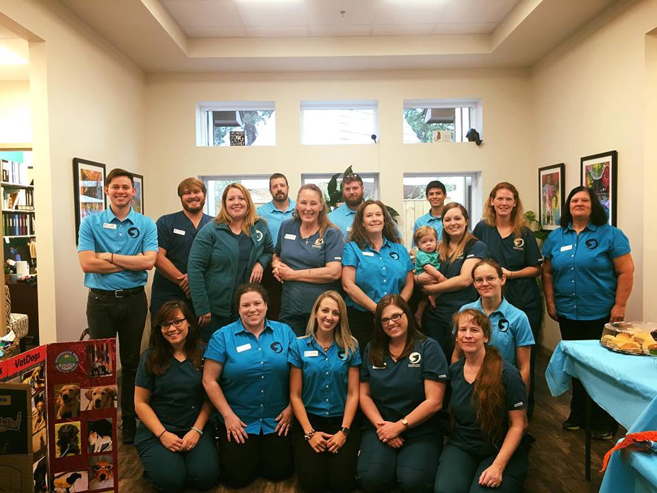 Davis Animal Hospital Pensacola