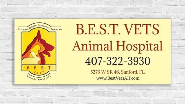 B.E.S.T. VETS Animal Hospital