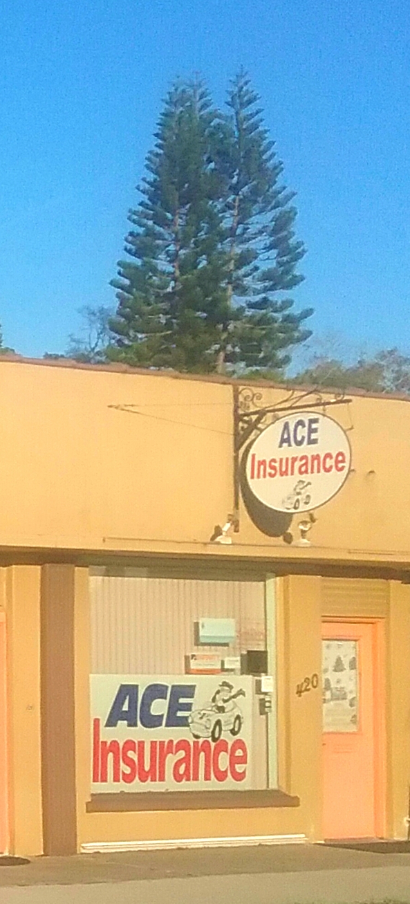 Ace Insurance Agency
