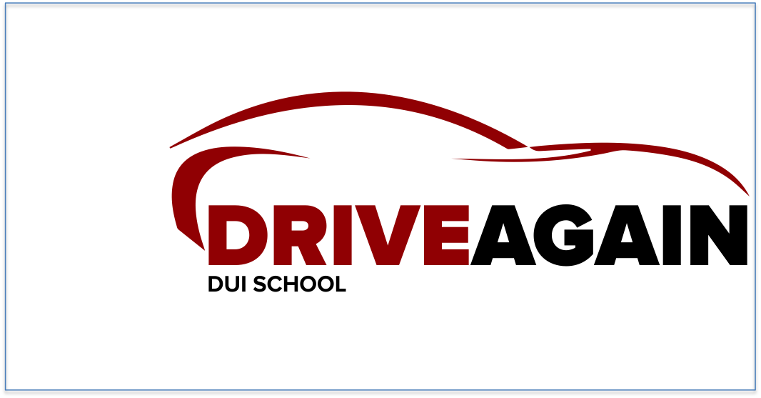 Drive Again Driving School, LLC