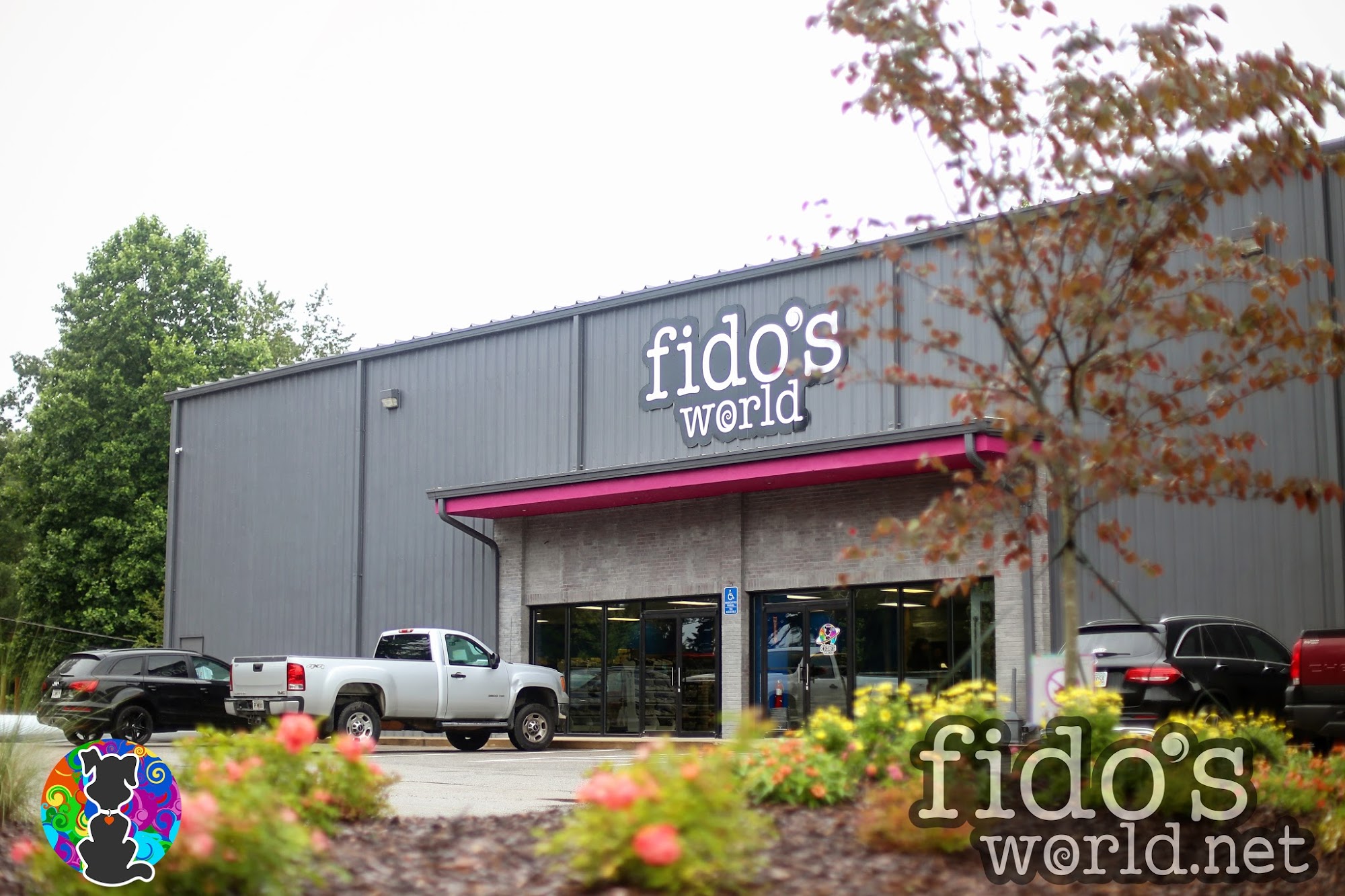 Fido's World