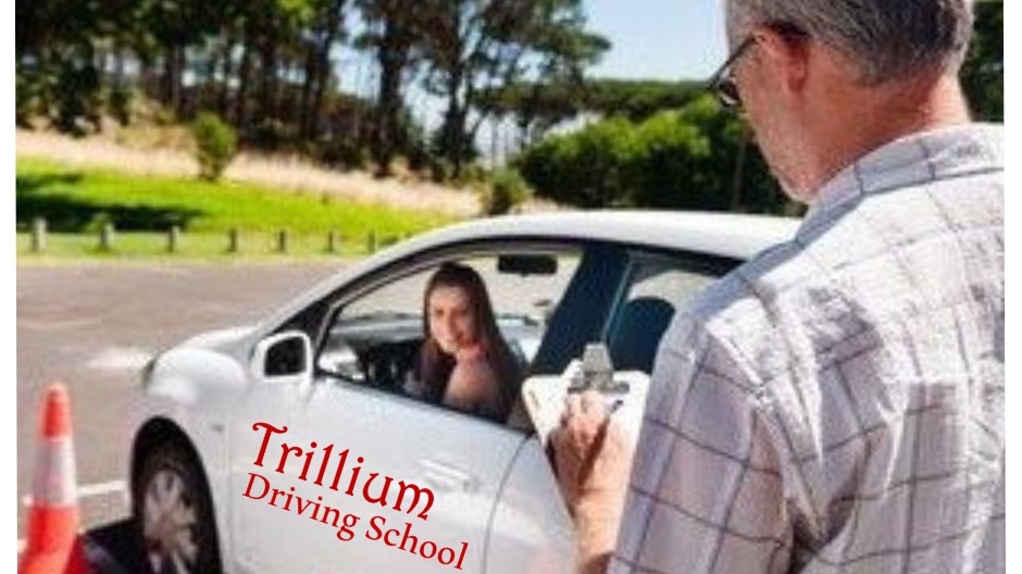 Trillium Driving Schools LLC.(Gwinnett)