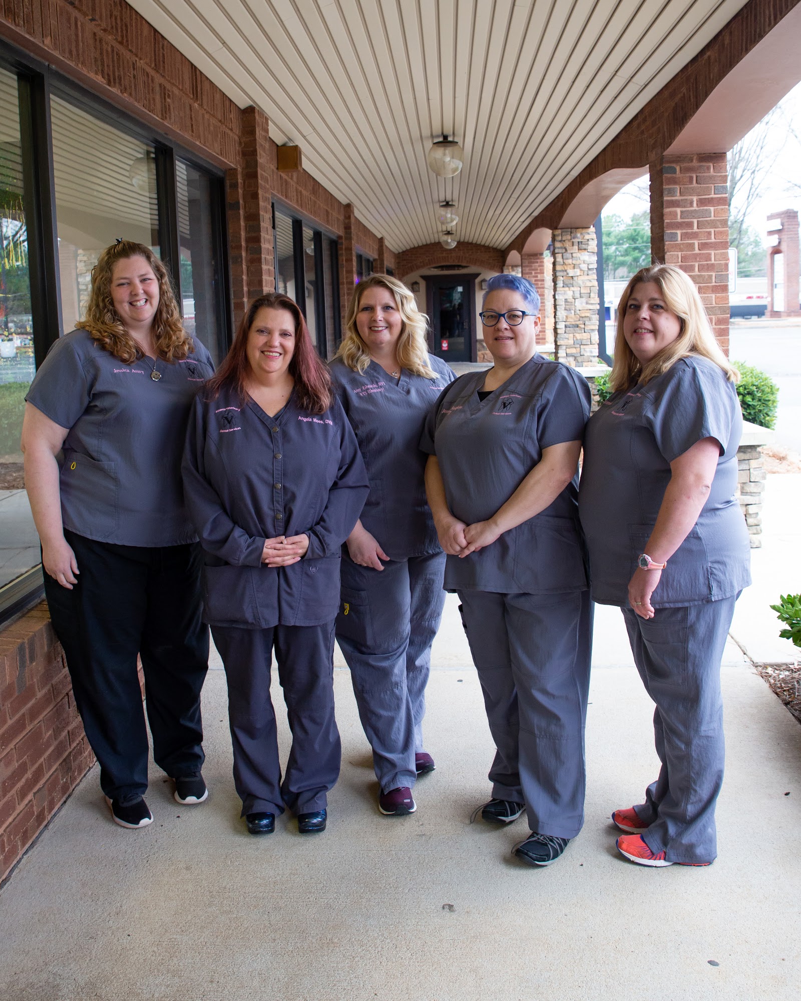 Atlanta Veterinary Dental Services