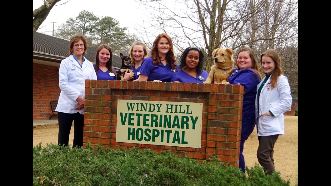Windy Hill Veterinary Hospital