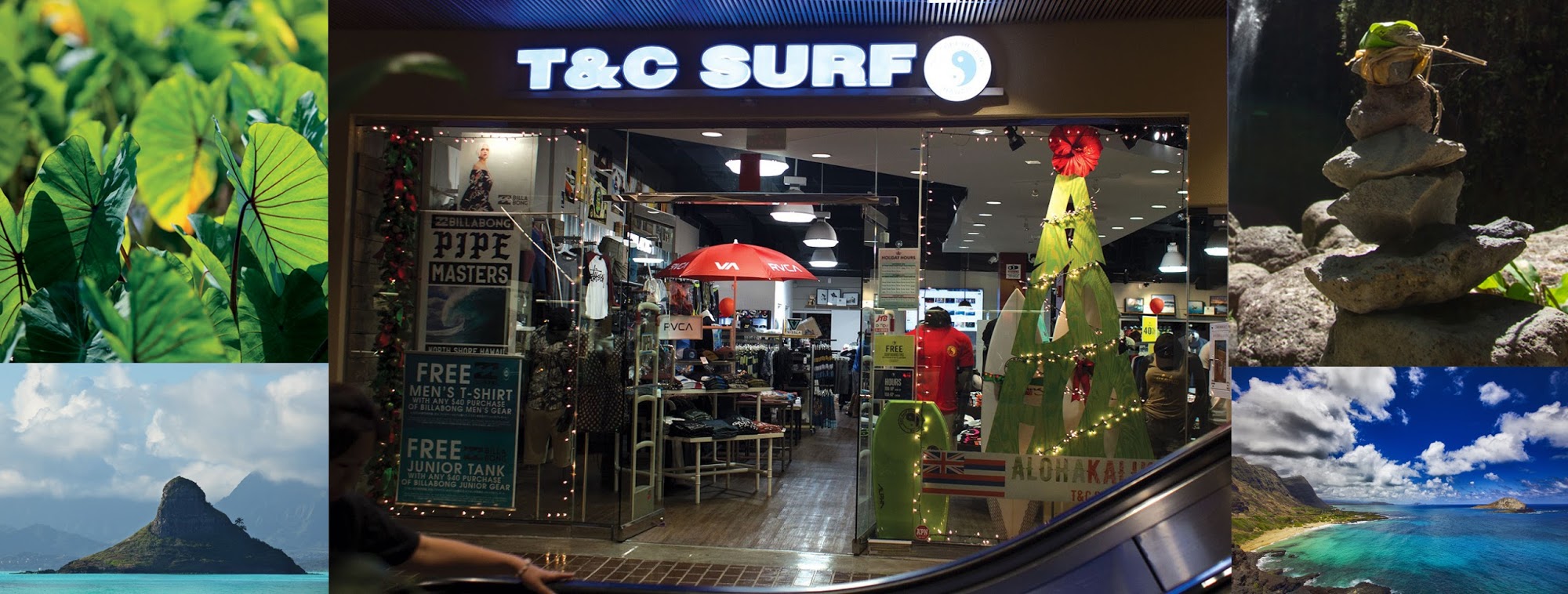 T&C Surf Designs