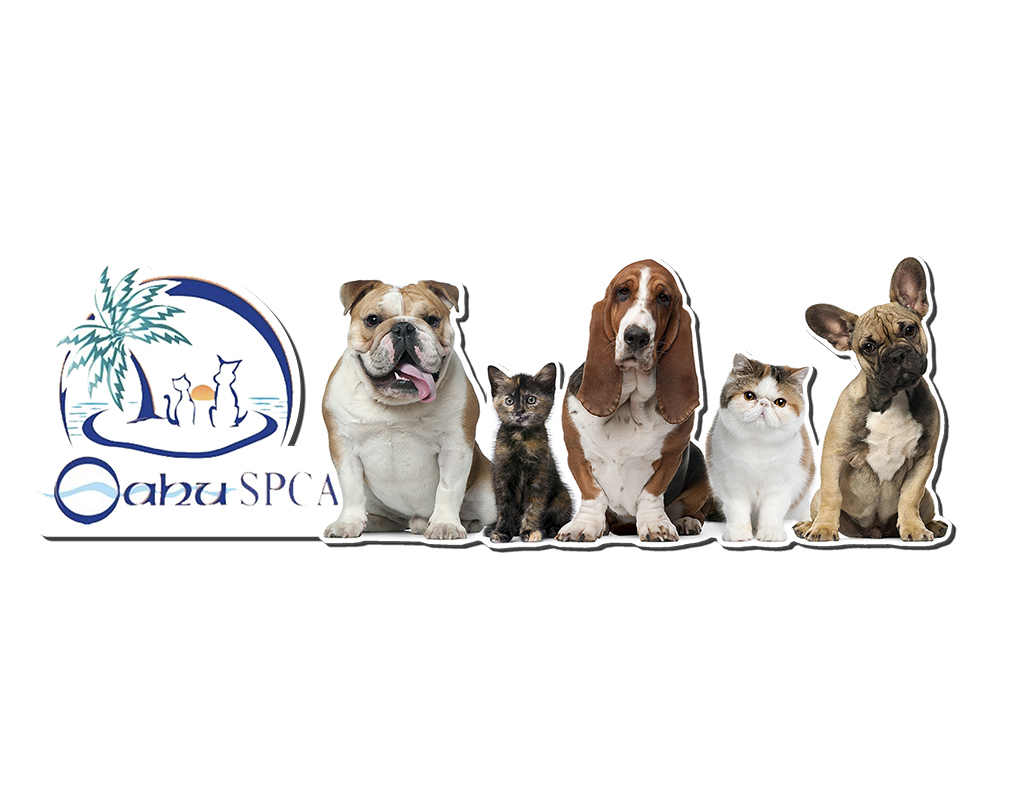 Oahu SPCA Veterinary Clinic and Animal Shelter