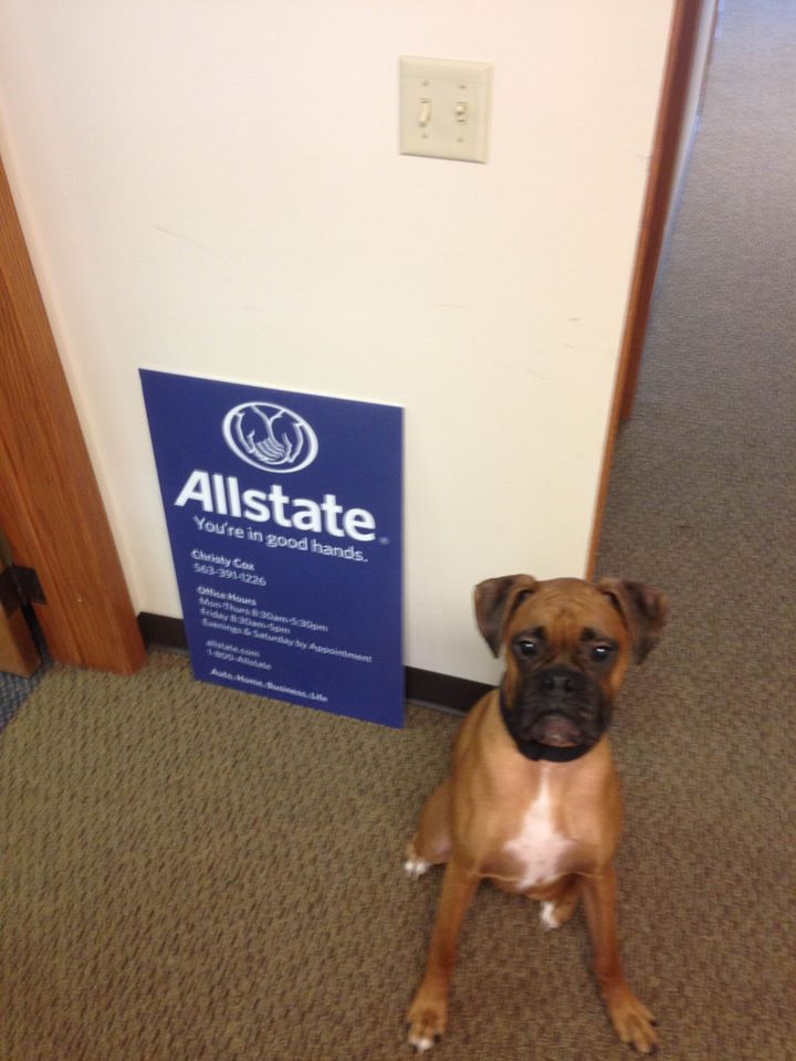 Christy Cox: Allstate Insurance