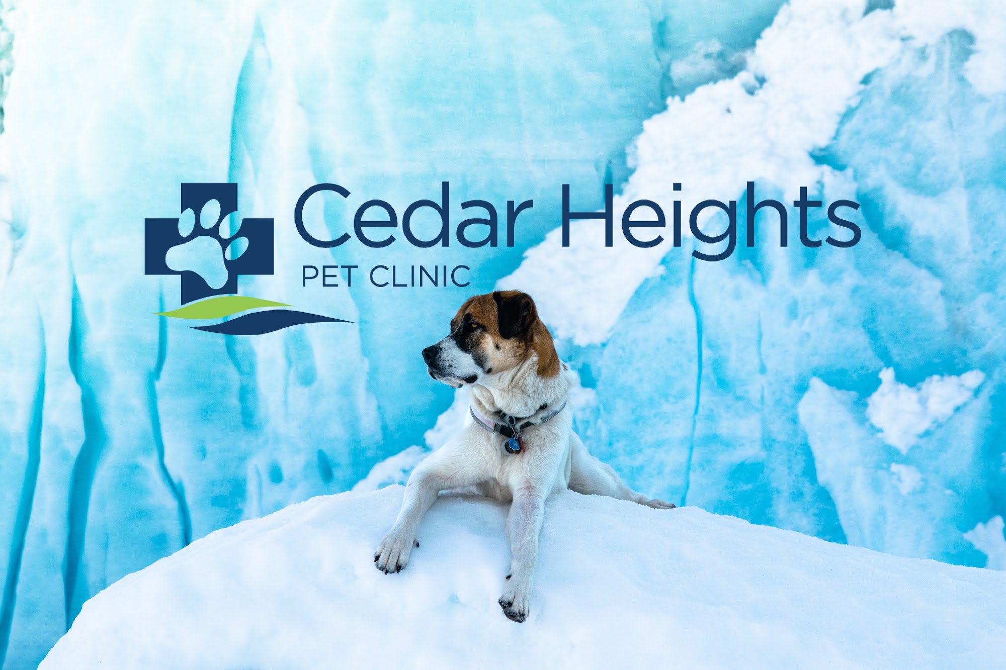 Cedar Heights Pet Clinic