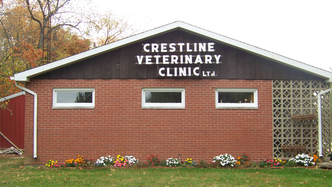 Crestline Veterinary Clinic Ltd