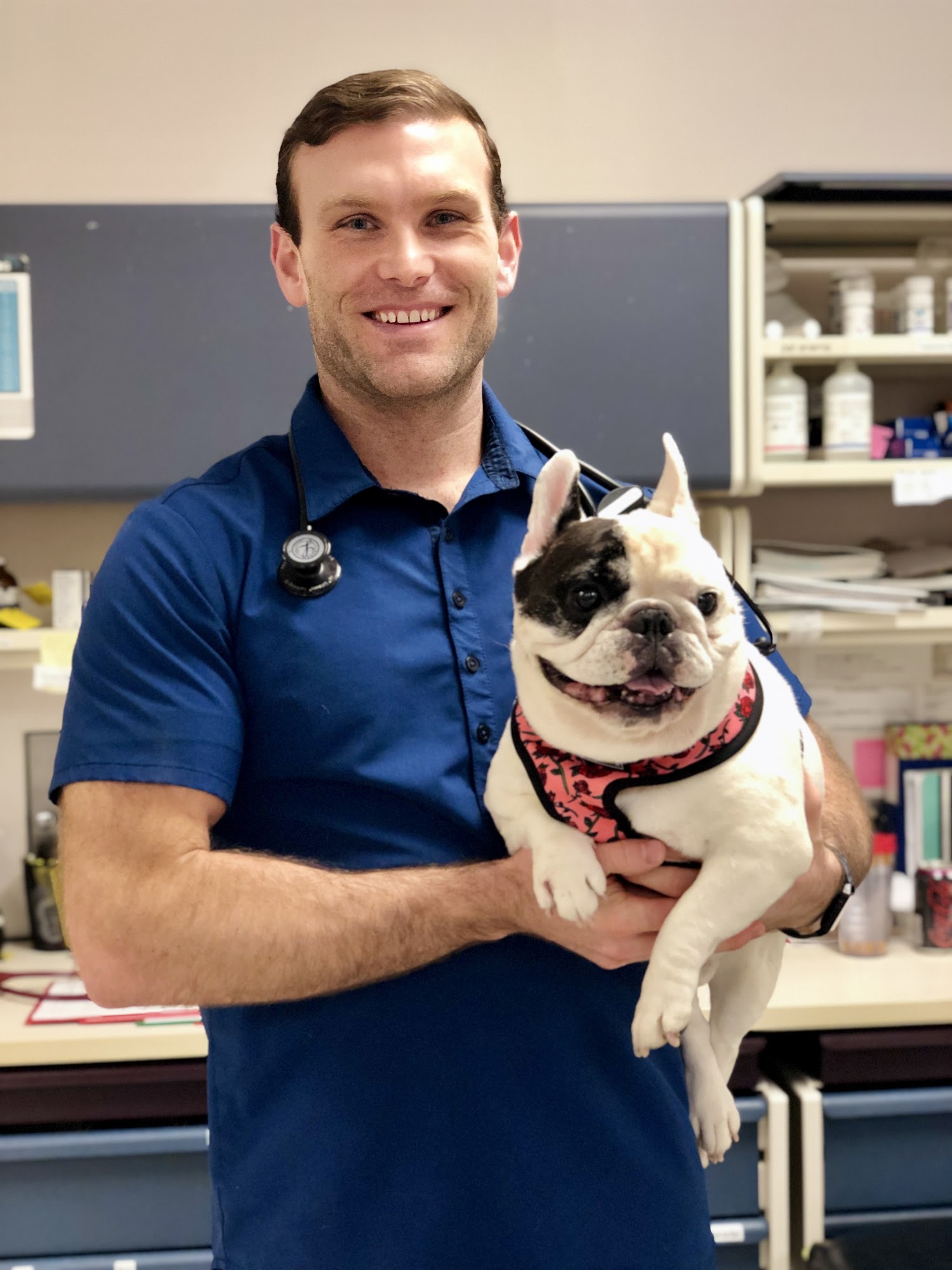 Medical District Veterinary Clinic at Illinois