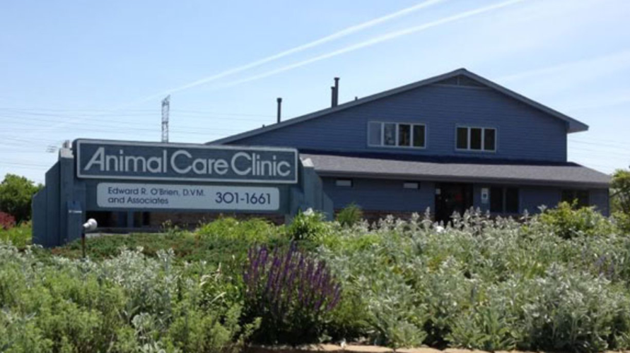Animal Care Clinic of Homer Glen