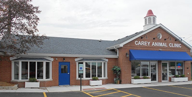 Carey Animal Clinic