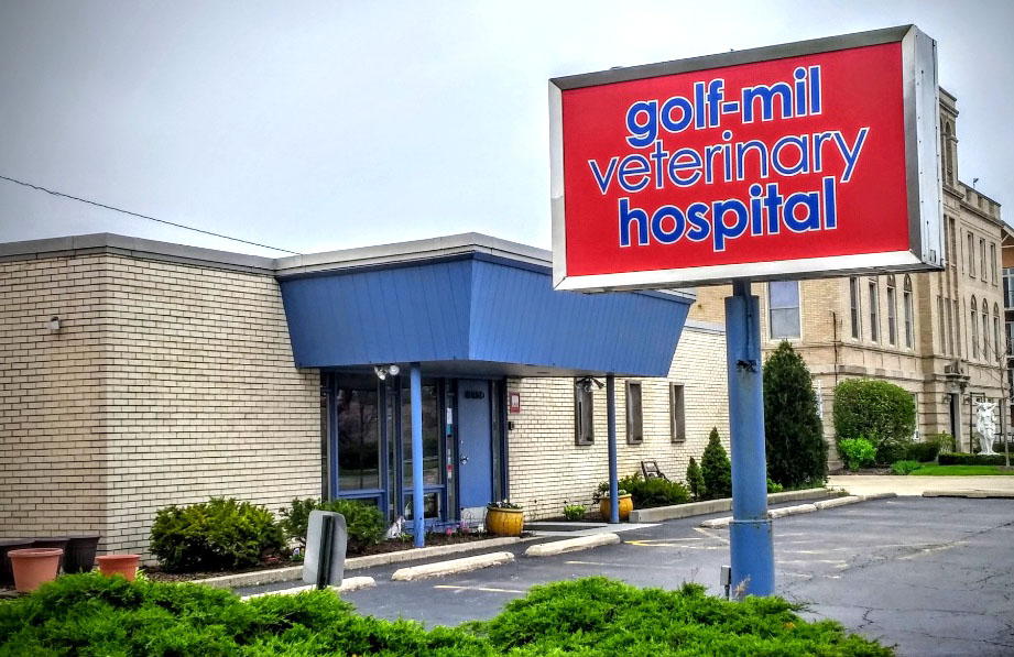 Golf-Mil Veterinary Hospital