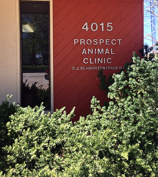 Prospect Animal Clinic