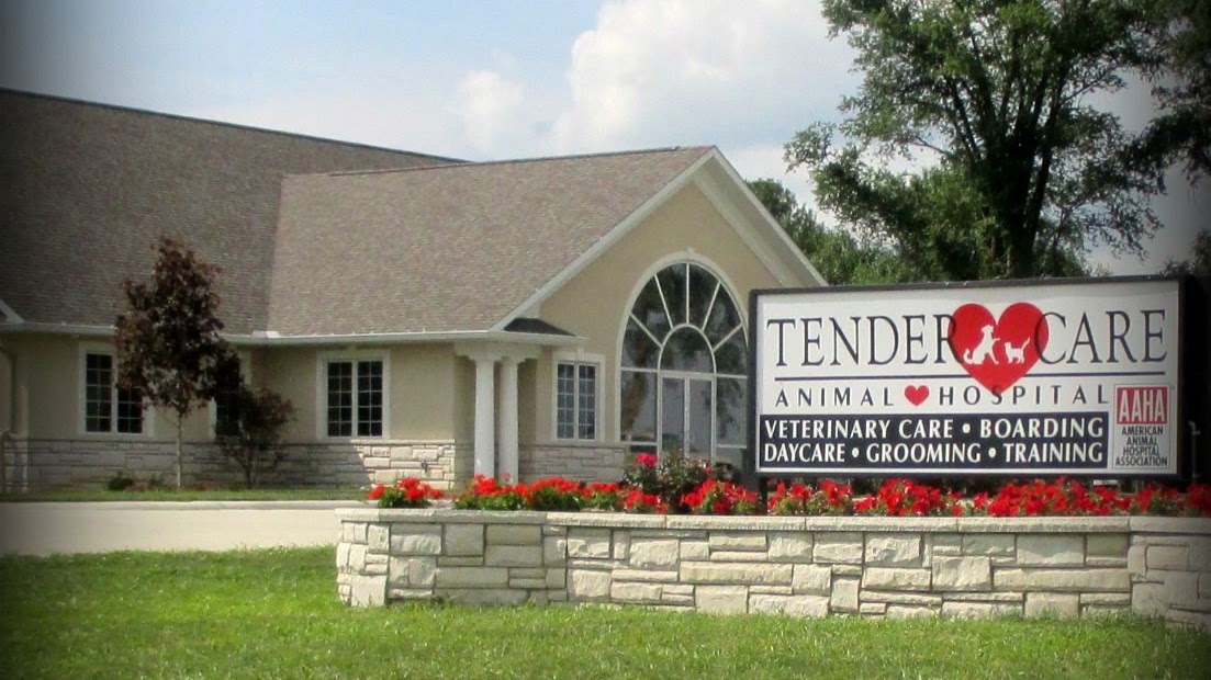 Tender Care Animal Hospital of Peoria