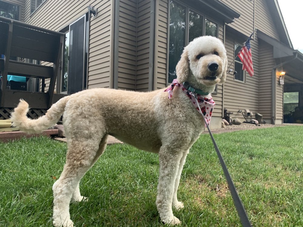 Rochester Veterinary Clinic