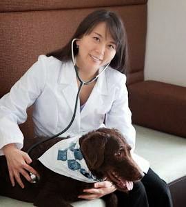 St. Charles Veterinary Clinic: Dr. Kim Labak