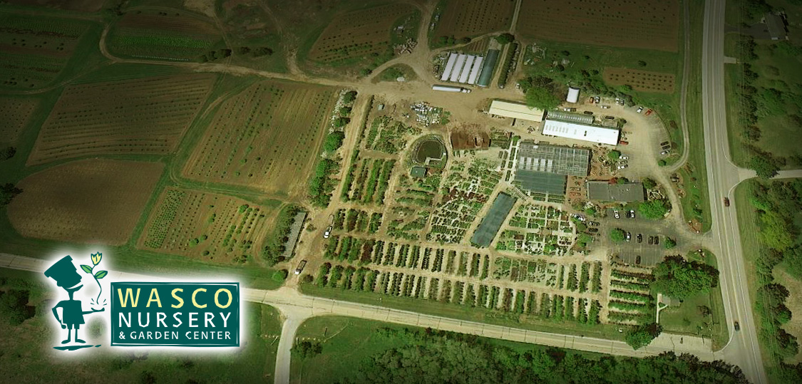 Wasco Nursery & Garden Center