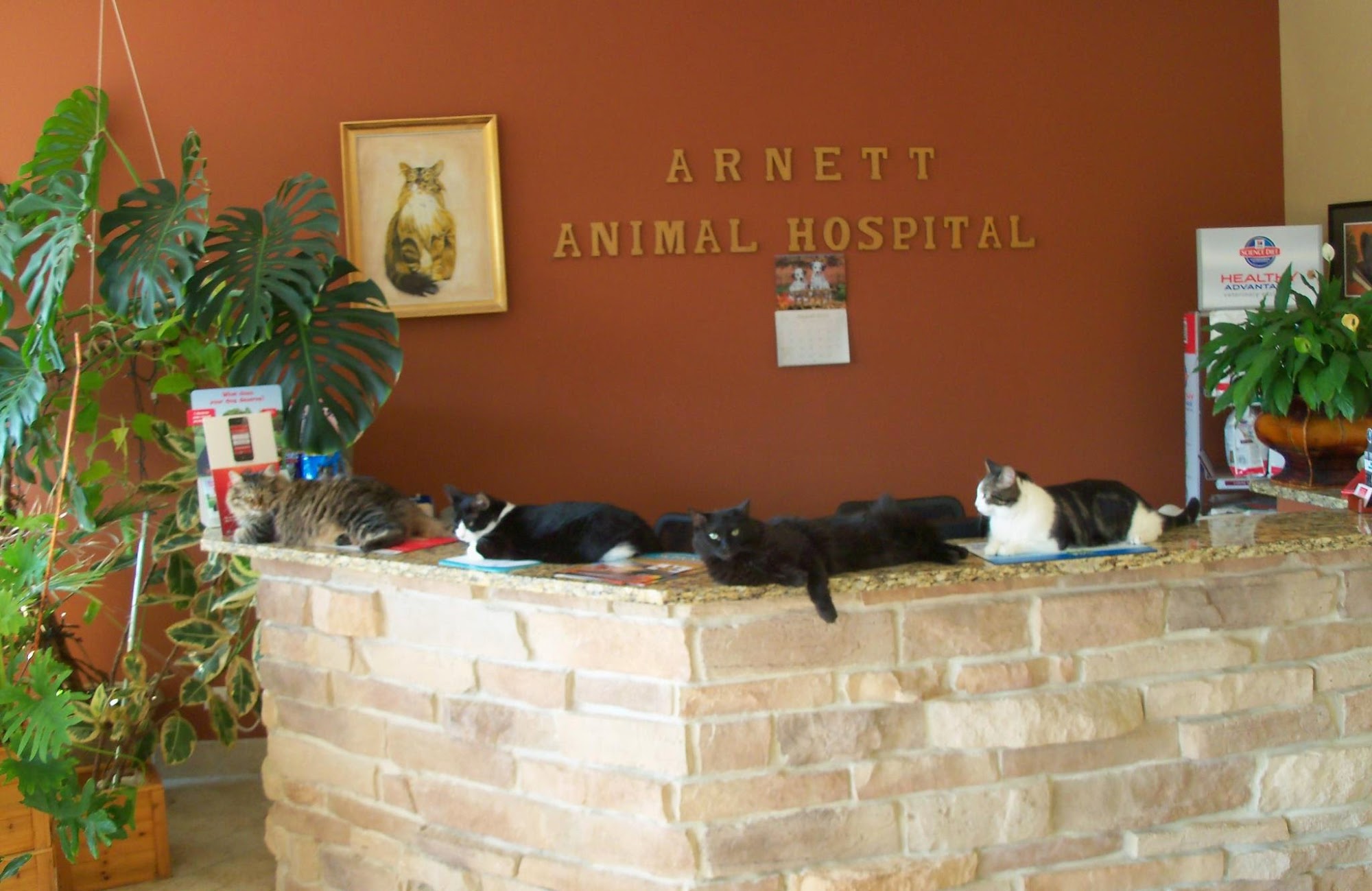 Arnett Animal Hospital