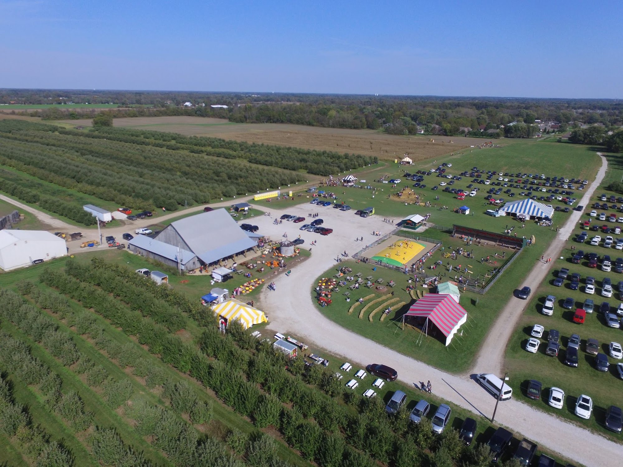 Beasley's Orchard