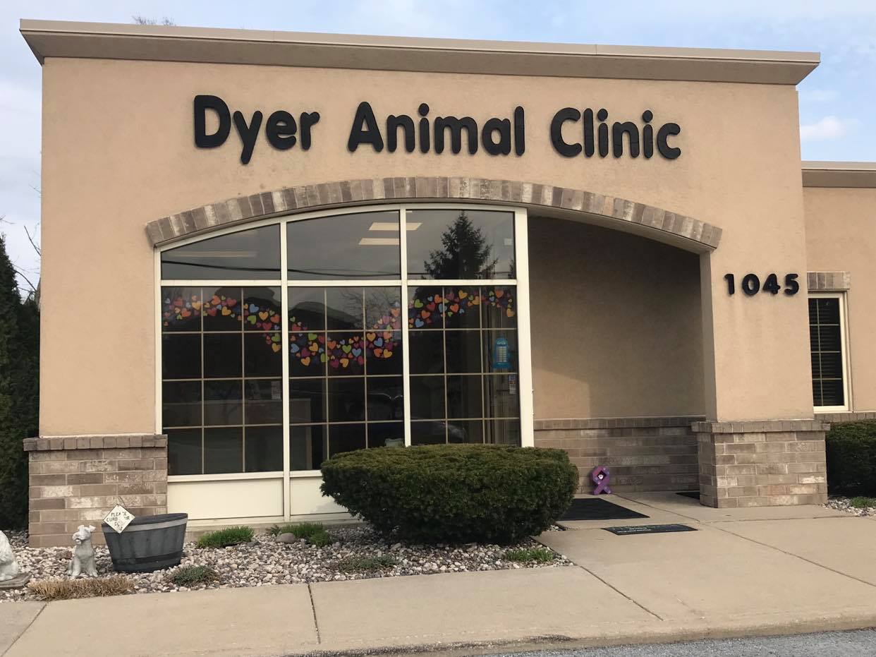 Dyer Animal Clinic