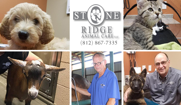 Stone Ridge Animal Care
