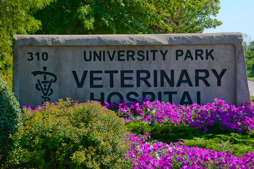 University Park Veterinary Hospital of Mishawaka