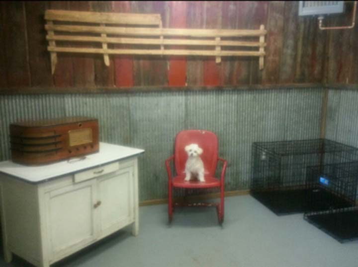 Critter Country Dog Grooming
