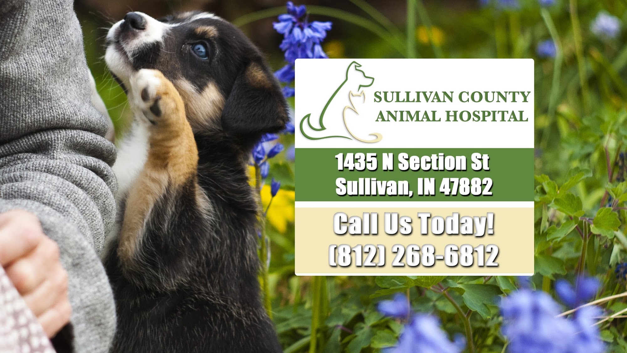 Sullivan County Animal Hospital