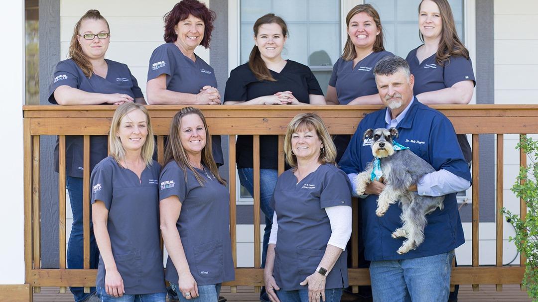 Town & Country Veterinary Hospital
