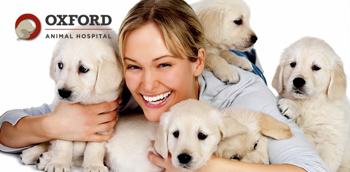 Oxford Animal Hospital, A Thrive Pet Healthcare Partner