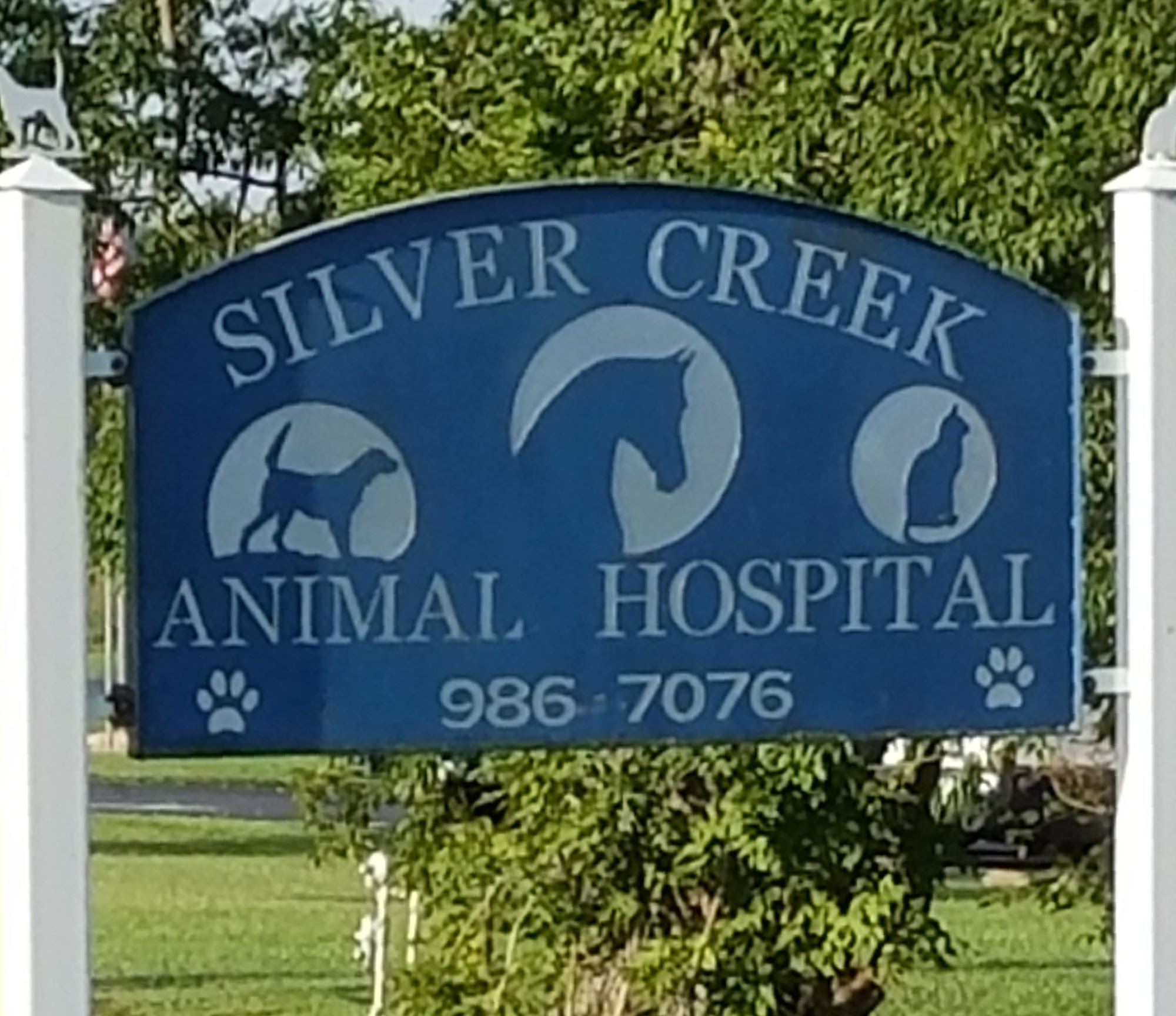 Silver Creek Animal Hospital PLLC
