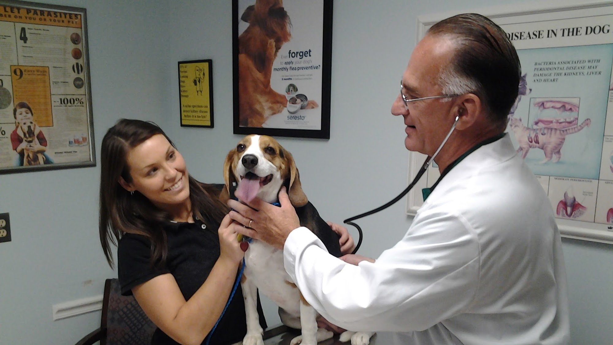 Countryside Animal Hospital: La Grange Veterinarian