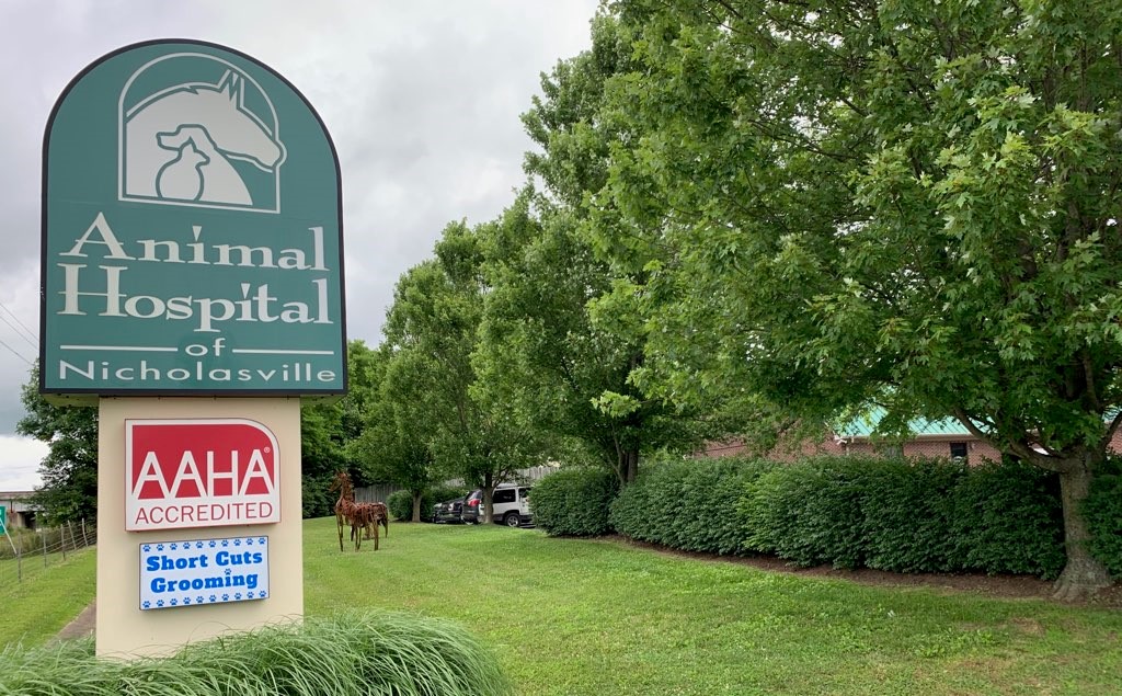 Animal Hospital of Nicholasville